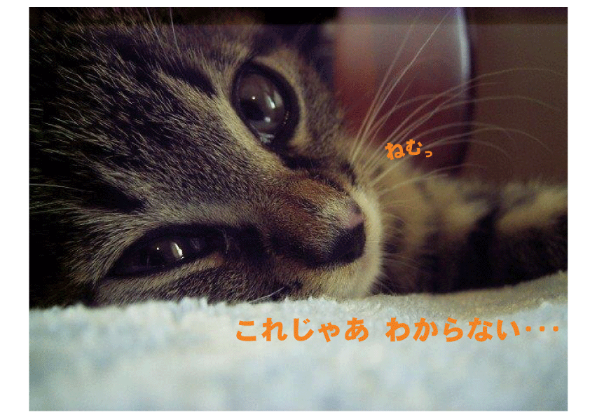 勉強嫌いになっちゃったら